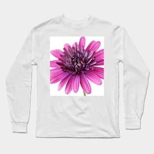 Osteospermum  Flower Power Double Series  Double berry purple Long Sleeve T-Shirt